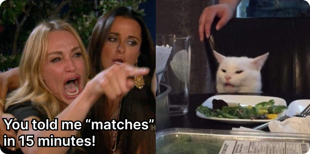 classic cat meme: woman shouting 'you told me matches in 15 minutes!' to a cat which lookes pissed